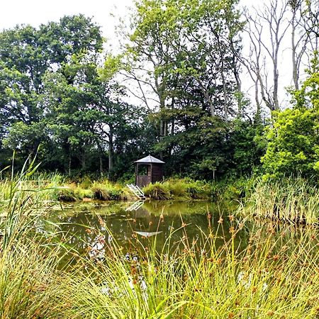 Peaceful Ensuite Lakeside Cabin 'Tench' Hadlow Down Exterior foto